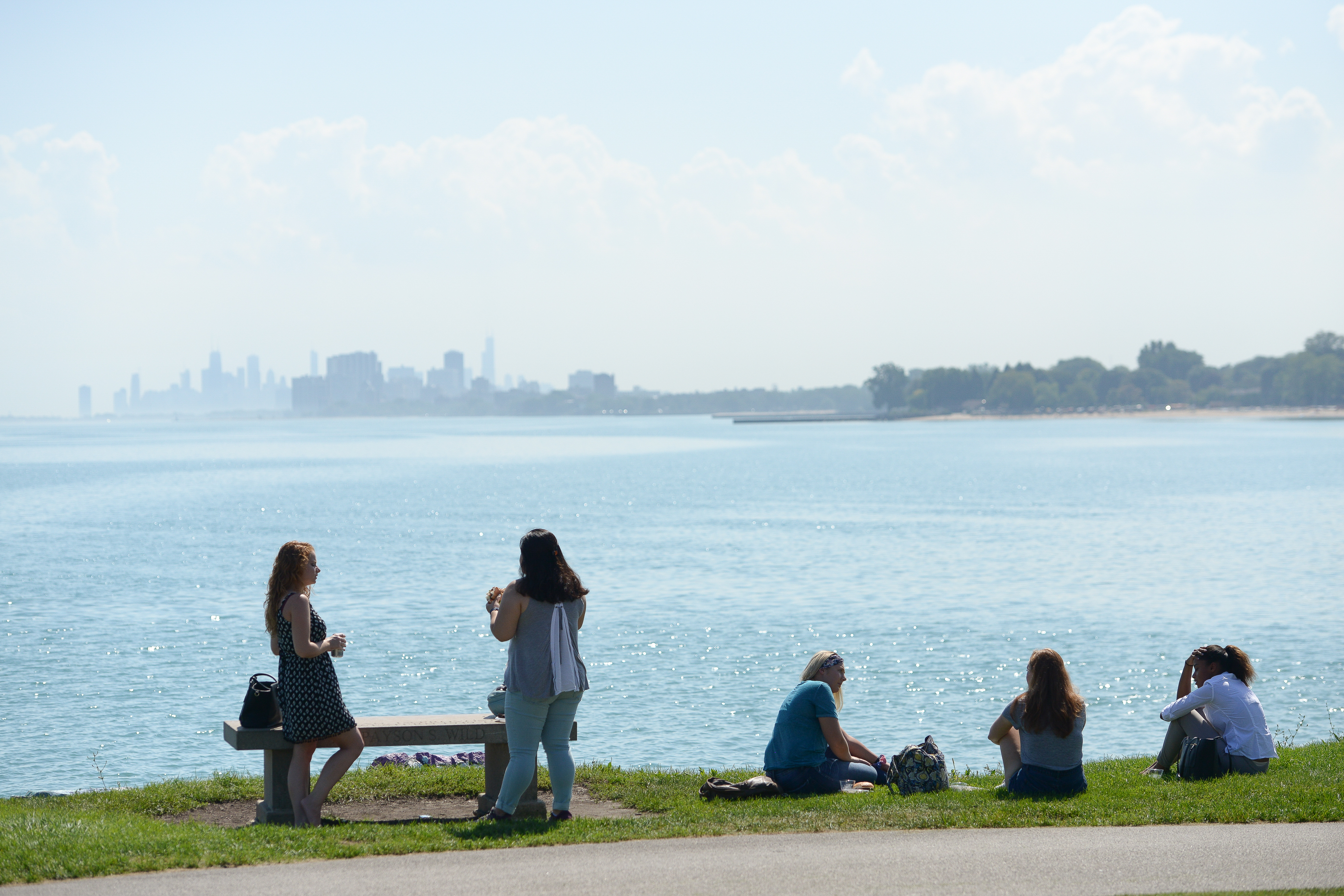 A group of students enjoy the view of the lakefill and the downtown Chicago skyline far off in the distance.
