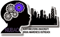 Northwestern University Brain Awareness Outreach (NUBAO)